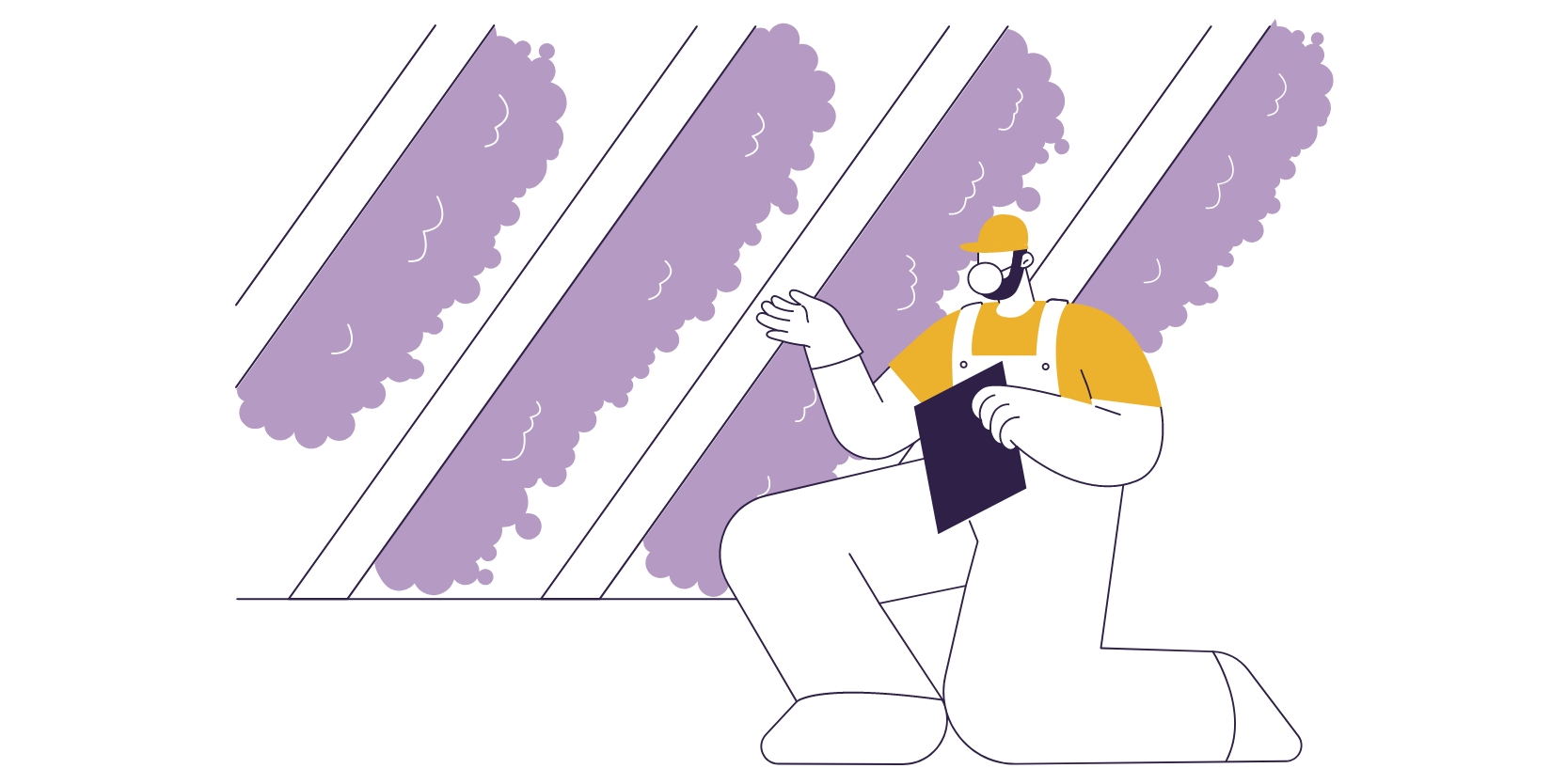 Blog833x417_Fall Readiness4