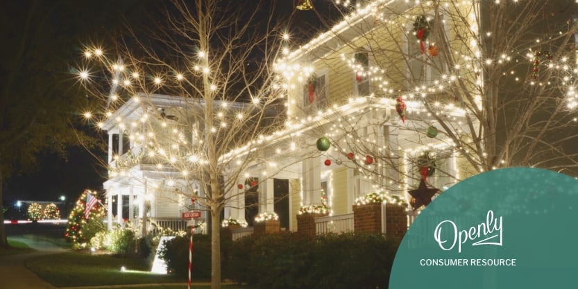 A house and tree are decorated with holiday lights and ornaments. 