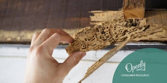 A hand grabs termite-damaged wood off the side of a house.