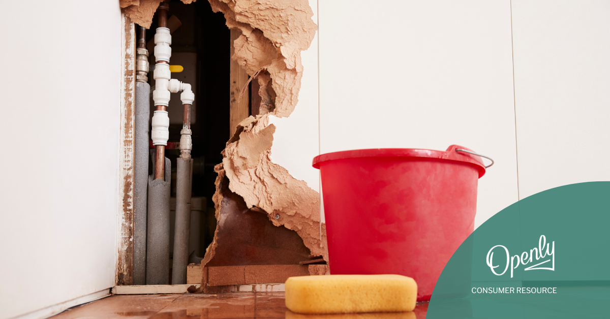 A bucket and sponge are on the floor next to a water pipe exposed through a hole in the wall.